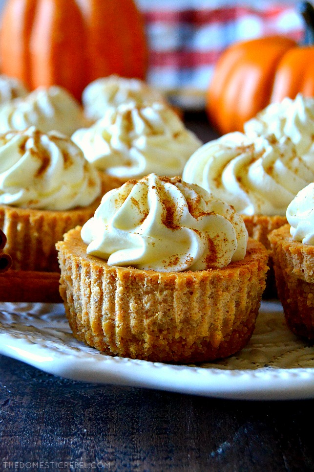 These Mini Pumpkin Cheesecakes are not only adorable, but easy and delicious too! Cool, creamy, and perfectly spiced pumpkin cheesecakes with a buttery graham cracker crust and freshly whipped cream! Perfect for the holidays! 