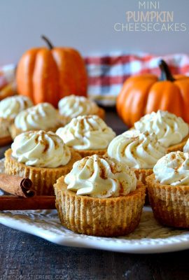 These Mini Pumpkin Cheesecakes are not only adorable, but easy and delicious too! Cool, creamy, and perfectly spiced pumpkin cheesecakes with a buttery graham cracker crust and freshly whipped cream! Perfect for the holidays!