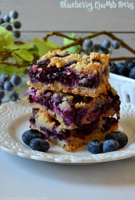 These Blueberry Crumb Bars are the BEST! Super buttery, tender, soft and filled with juicy, gooey fresh blueberry filling! They come together quickly, feed a crowd and are totally easy!