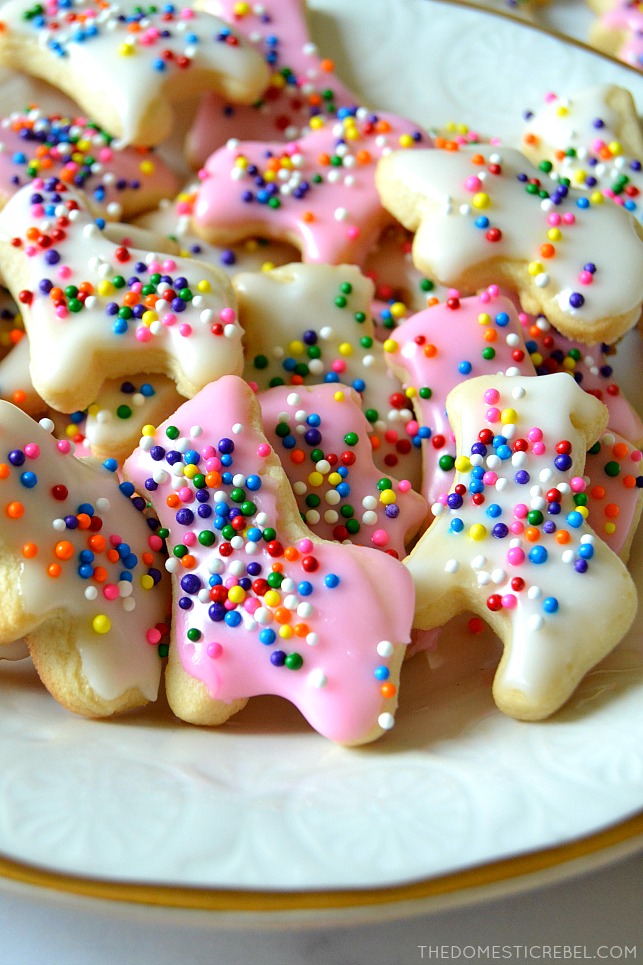 homemade frosted animal cookies arranged on white plate