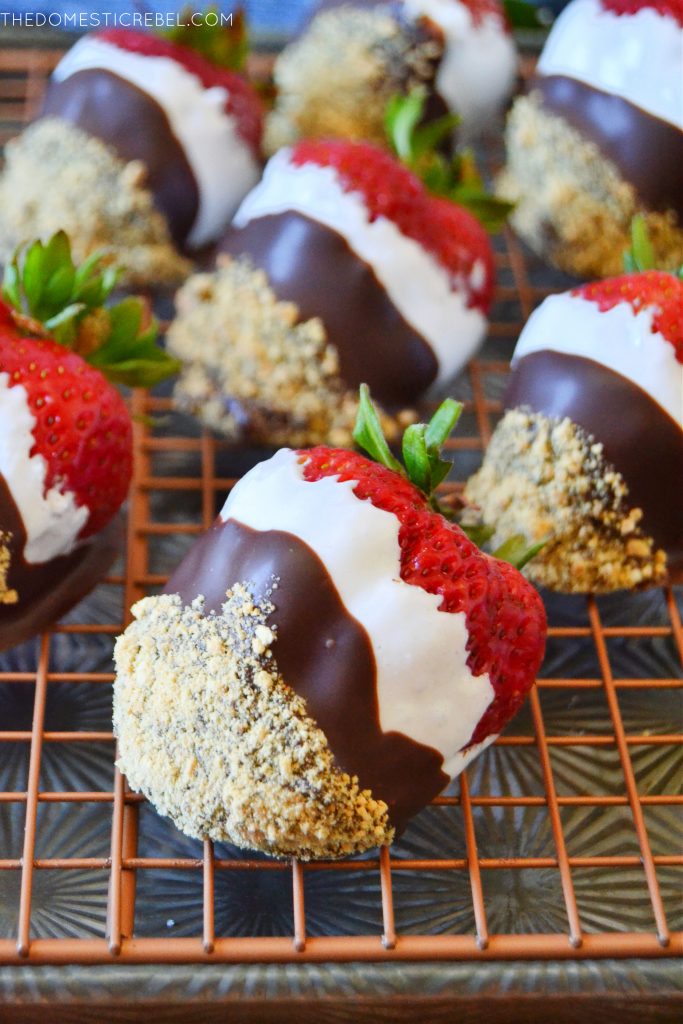 a tray filled with s'mores dipped strawberries