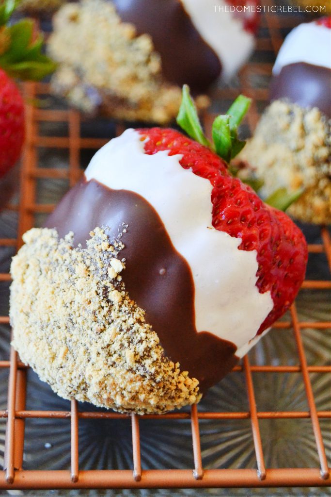 a closeup of a huge s'mores dipped strawberries