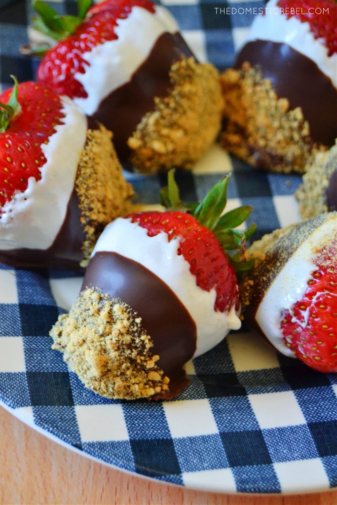 a blue gingham plate with s'mores dipped strawberries