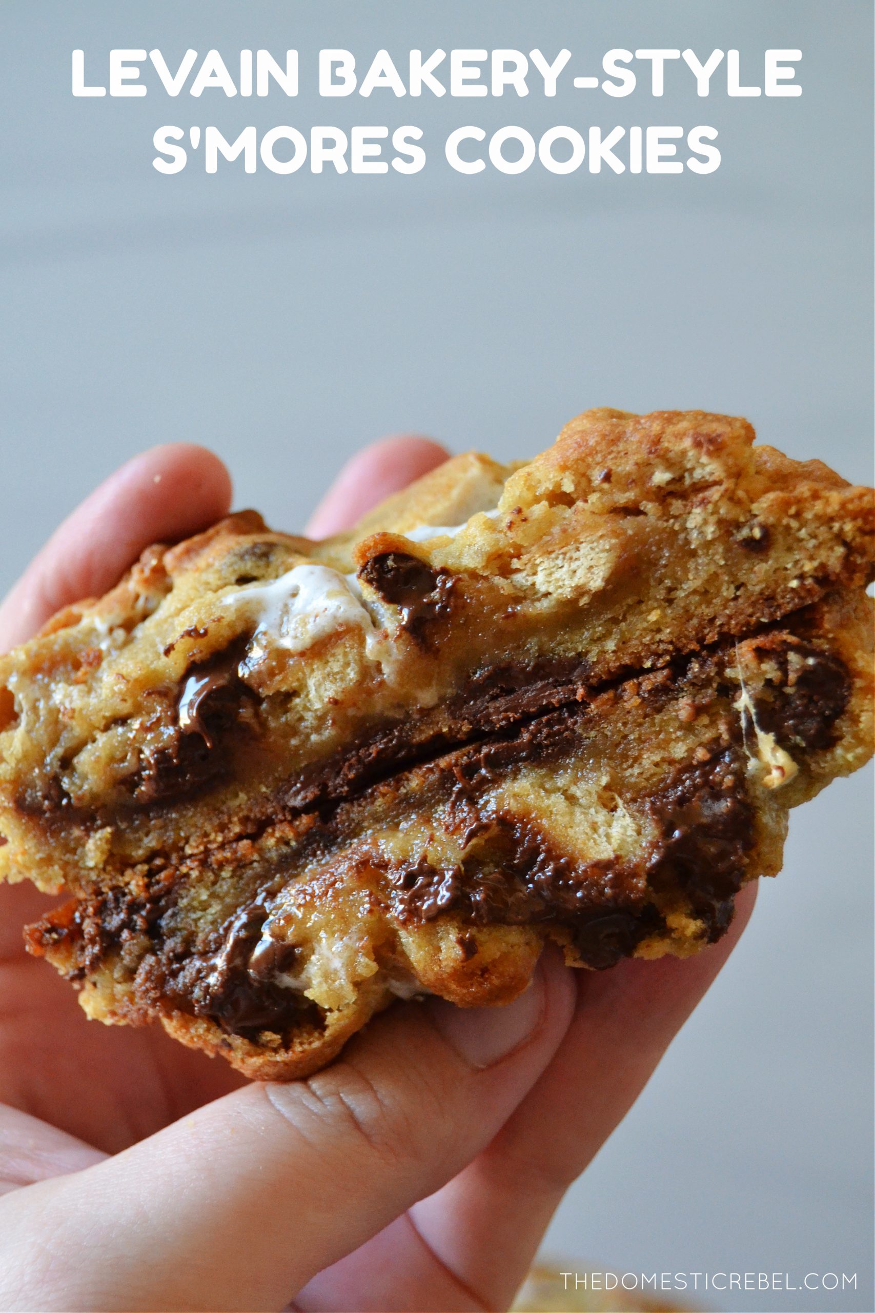 Levain Bakery Dark Chocolate Chocolate Chip Cookie | A Bountiful Kitchen