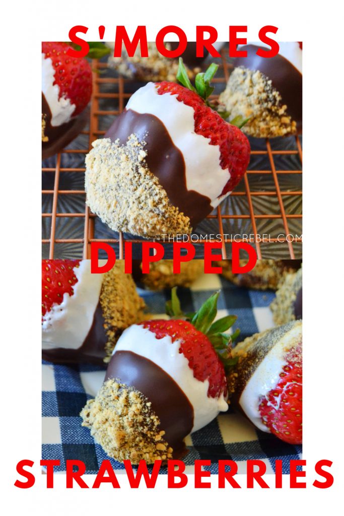 s'mores dipped strawberries photo collage