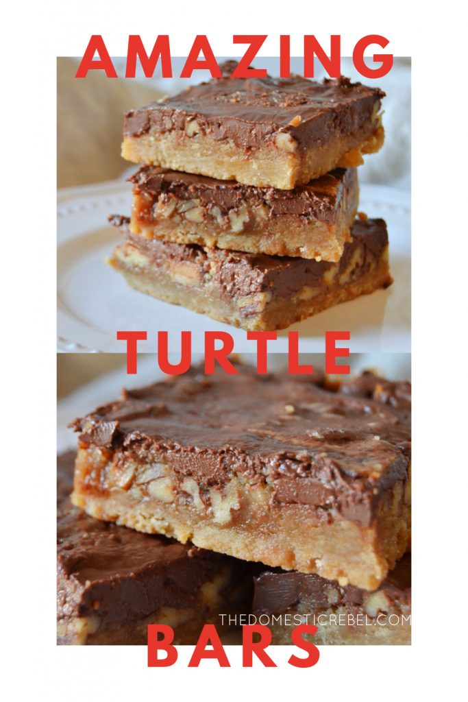 amazing turtle bars photo collage