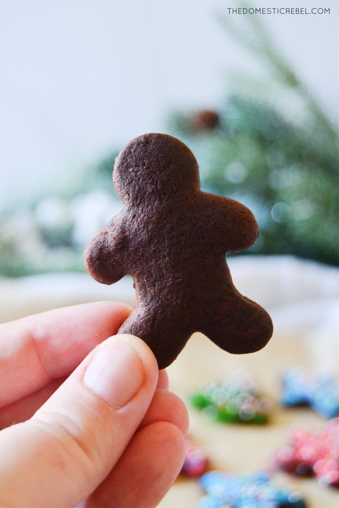 author holding a chocolate cut-out gingerbread cookie