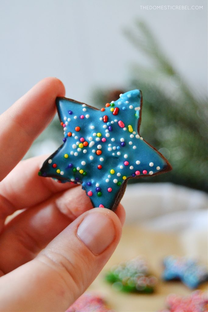 author holding a glazed star chocolate sugar cookie
