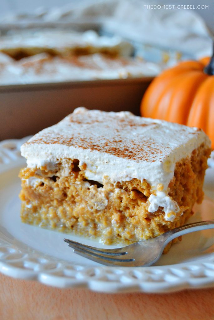 a closeup square piece of pumpkin tres leches cake on a white plate