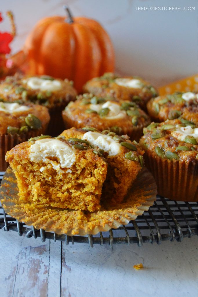pumpkin cream cheese muffins arranged on a black wire rack with a pumpkin in the background