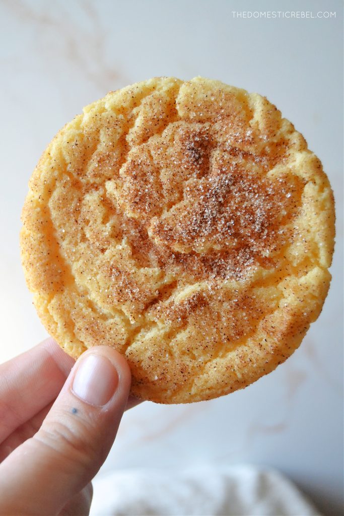 the author holds up a single brown butter snickerdoodle cookie against a light marbled background.