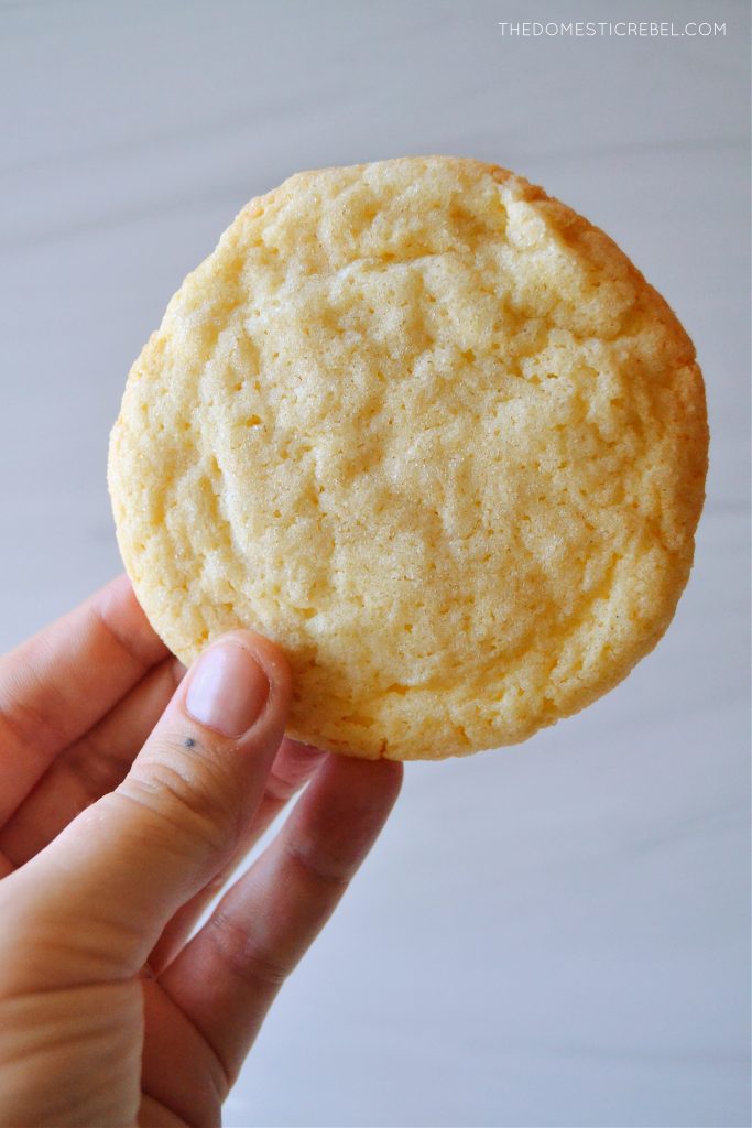 author holding up a soft and chewy sugar cookie against a white marbled background.