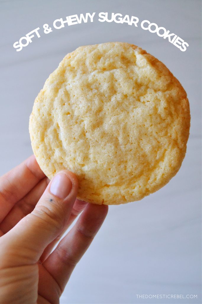 the author holding up a sugar cookie against a light colored marble background to show the texture of the cookie.